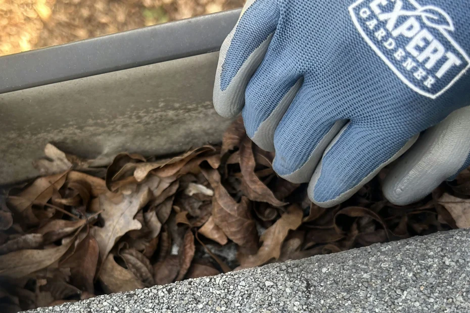 Gutter Cleaning New Smyrna Beach FL