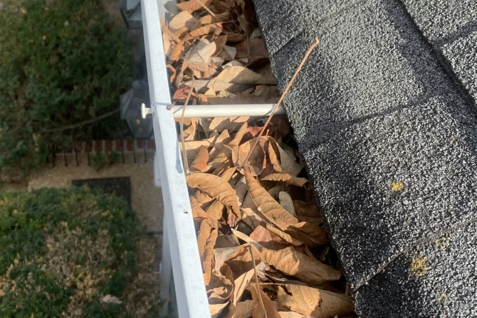 Gutter Cleaning New Smyrna Beach FL