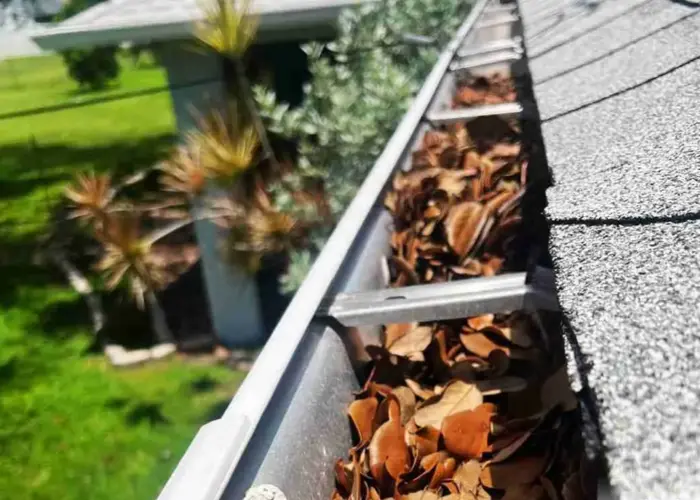 Gutter Cleaning New Smyrna Beach FL home page